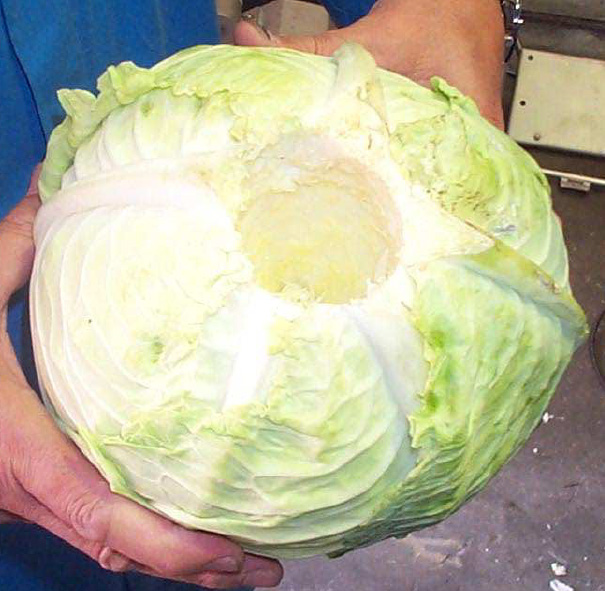 Cabbage Corer Series 7300
